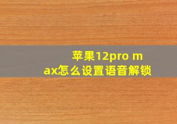 苹果12pro max怎么设置语音解锁